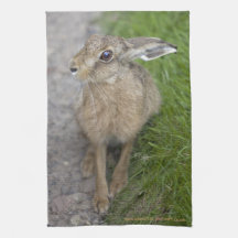 Harry-Hase-Geschirrtuch Handtücher
