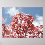 HARTRIEGEL rosa Blumen 7 Natur-Kunst-Druck-Plakate