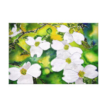 Hartriegelbaum-Blumen Gespannte Galeriedrucke