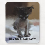Hässliche Miezekatze Mousepads