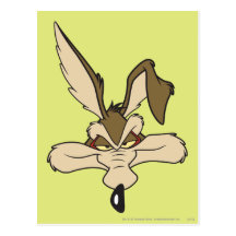 Hauptschuß Wile E. Coyote Pleased Postkarte