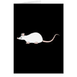 Haustier-Weiß-Maus Grußkarten