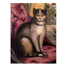 Haustiertabby-Katze mit Kragen-blaues Band-Postkar