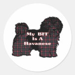Havanese BESTE FREUNDIN Aufkleber