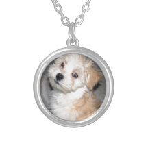 Havanese Rettungswelpe Tanweiß Personalisierter Schmuck