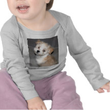 Havanese Welpe Tshirts