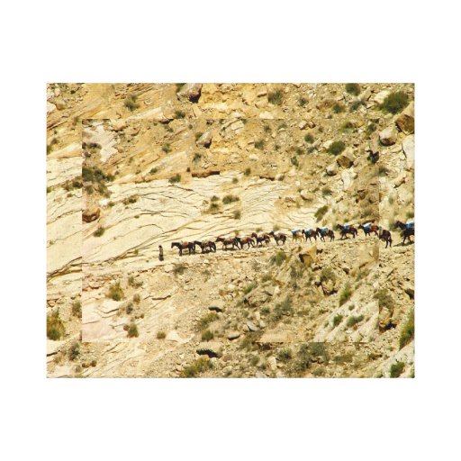 Havasu Schlucht-Satz-Zug Galerie Falt Leinwand