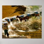 Havasu Schlucht-Satz-Zug Plakat