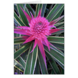 Hawaiische rosa Ananas Grußkarte