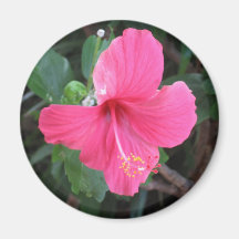 Hawaiische Schönheit Kühlschrankmagnet