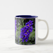 Hawaiischer blauer Ingwer Kaffee Tasse