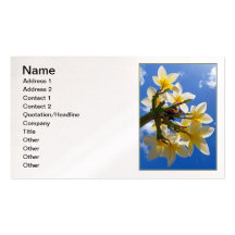 Hawaiischer Frangipani Visitenkarten Vorlagen