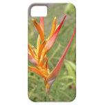 Hawaiischer Heliconia Blume iPhone 5 Fall iPhone 5 Etuis