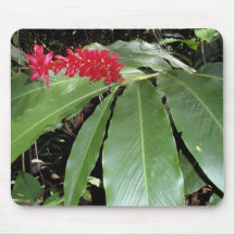 Hawaiischer roter Ingwer Mauspad