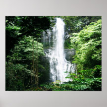 Hawaiischer Wasserfall Poster