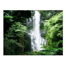 Hawaiischer Wasserfall Postkarten