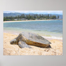 Hawaiisches Honu Posterdruck