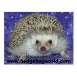 hedgehogworld Postkarte