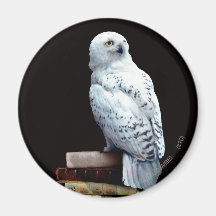 Hedwig auf Büchern Magnete