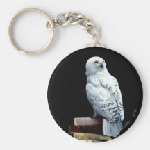 Hedwig auf Büchern Schlüsselbänder