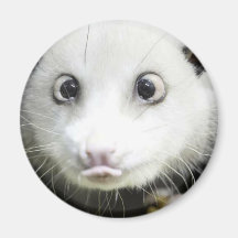 Heidi das Kreuz gemusterte Opossum Magnete