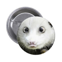 Heidi das quere mit Augen Opossum Buttons
