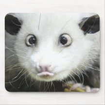 Heidi das quere mit Augen Opossum Mousepads