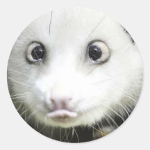 Heidi das quere mit Augen Opossum Runde Sticker