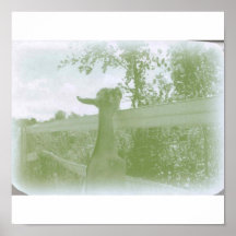 Heidi-Plakat