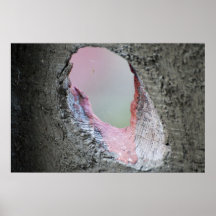 Heiliges Wunder Plakat