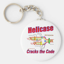 Helicase knackt den Code Schlüsselbänder