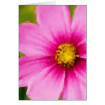 Helle gemalte rosa Gänseblümchen-Karte