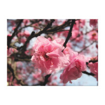 helle rosa Blüten Leinwanddrucke