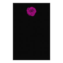 Helle rosa Rose. Schwarzer Hintergrund Druckpapier