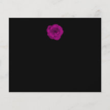 Helle rosa Rose. Schwarzer Hintergrund Bedruckte Flyer
