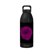 Helle rosa Rose. Schwarzer Hintergrund Wasserflaschen