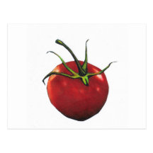 HELLE ROTE TOMATE POSTKARTEN