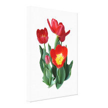 Helle rote Tulpen Leinwanddrucke