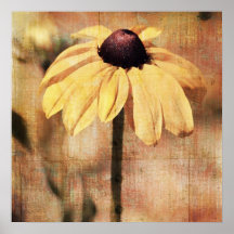 Helle schwarze mit Augen Susan-Blume Posterdrucke