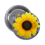 Helle Sonnenblume Button