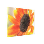 Helle und mutige Sonnenblume Gespannte Galerie Drucke