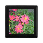 Helle und schöne rosa Dahlie-Blumen Geschenkboxen