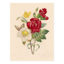Hellebores und Gartennelken durch Pierre-Joseph Re Postkarten