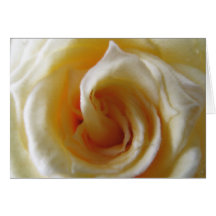 Hellgelbe Rose Grußkarten