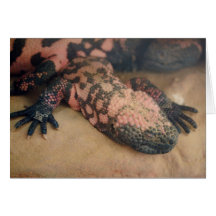 Heloderma suspectum grußkarte