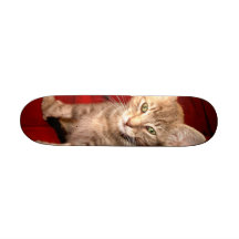 Hemingway-Kätzchen-Skateboard Individuelle Skateboards