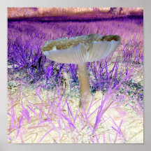 Herausgestelltes Effekt-Pilz-Plakat