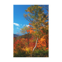 Herbst-Bilder Leinwanddruck