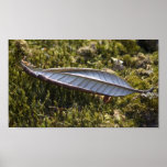 Herbst-Blatt auf Moos Plakatdruck