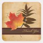 Herbst-Blätter auf gealtertem Papierquadrat dankt  Stickers